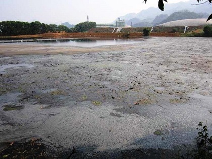Triển khai thực hiện Nghị định số 36/2020/NĐ-CP của Chính phủ quy định về xử phạt vi phạm hành chính trong lĩnh vực tài nguyên nước và khoáng sản 