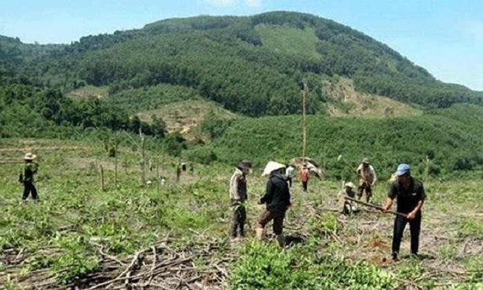 Ban hành Kế hoạch hành động thực hiện Nghị quyết số 22/NQ-CP của Chính phủ về ổn định dân di cư tự do và quản lý, sử dụng đất có nguồn gốc từ nông, lâm trường 
